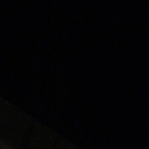 Meet your Posher, Bianca